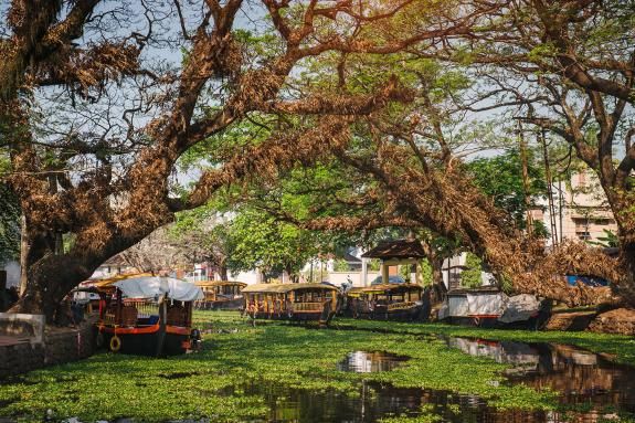 Kerala backwaters -Alappuzha, India